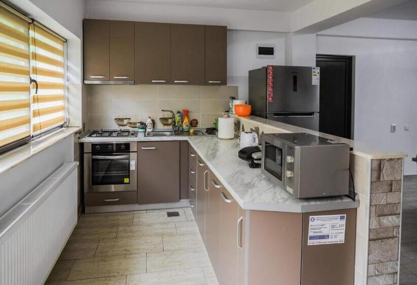 ペンション Hățașul Bunicului