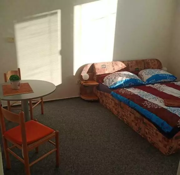 پانسیون Penzion Koupaliště