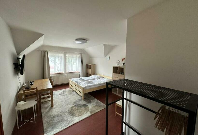 Panzió Penzion U Kovárny