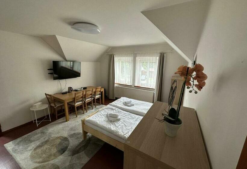 Panzió Penzion U Kovárny