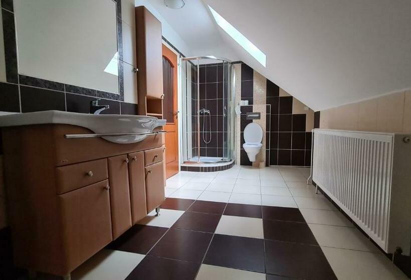 Panzió Penzion U Kovárny