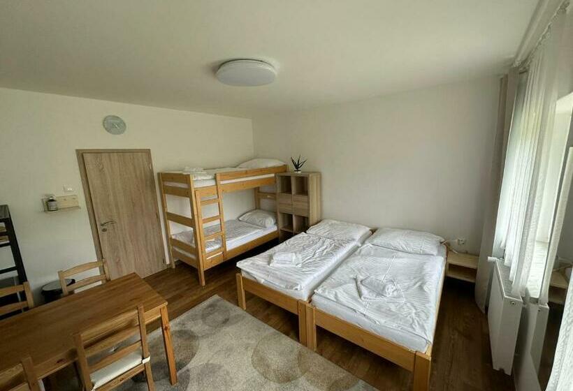 Panzió Penzion U Kovárny