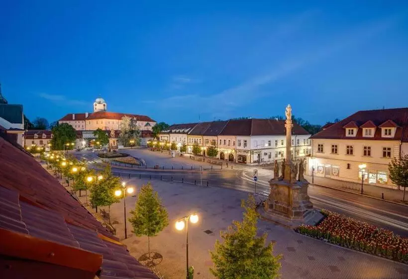 Design Pension Twenty 20