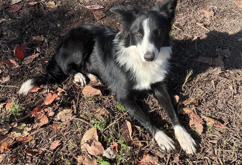 호텔 Agriturismo Valsiniga