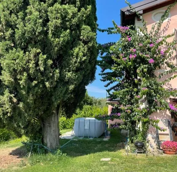 ホテル Agriturismo Valsiniga