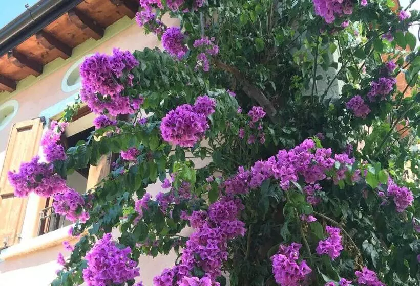 ホテル Agriturismo Valsiniga