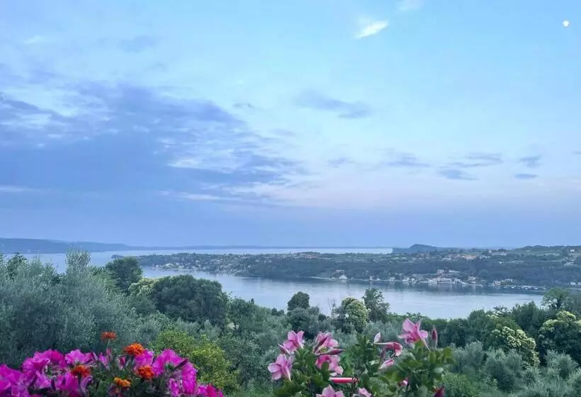 ホテル Agriturismo Valsiniga
