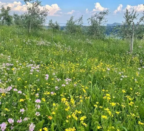 ホテル Agriturismo Valsiniga
