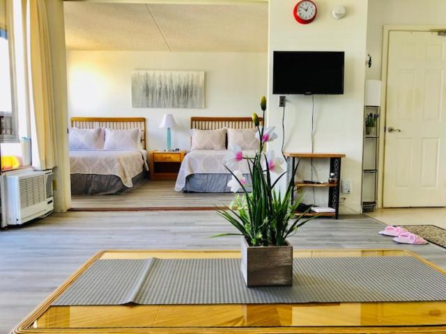 ホテル French Banyan