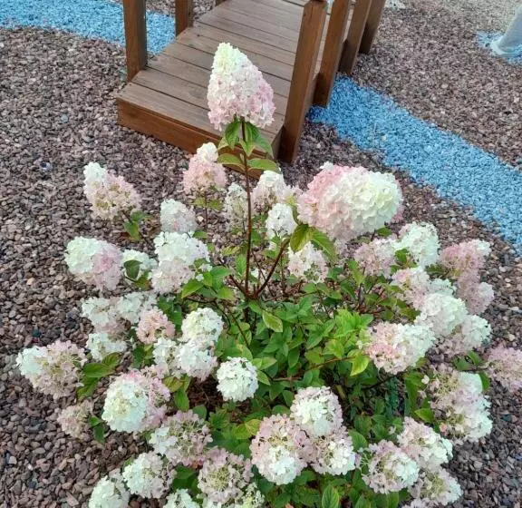 Le Camping Du Capitaine