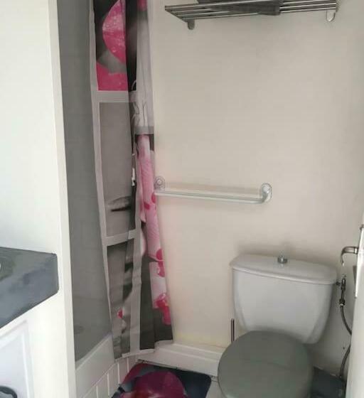 Les Lauriers N°3   Soleil Et Repos