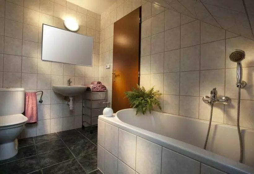 ペンション Ubytování U Bilkovičů