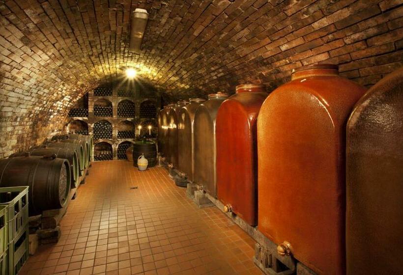 بنسيون Ubytování U Bilkovičů