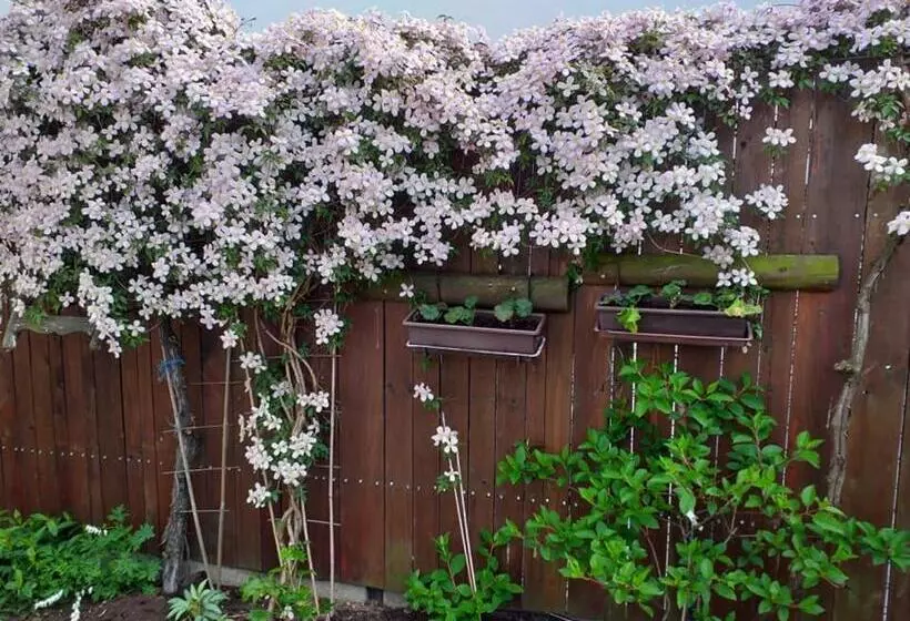 ペンション Ubytování U Bilkovičů