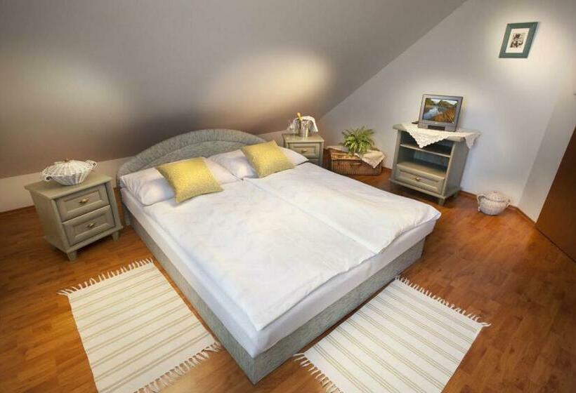 بنسيون Ubytování U Bilkovičů