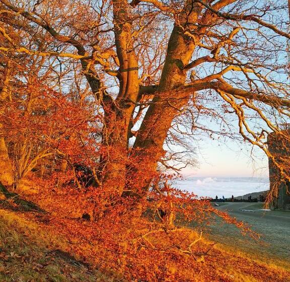 Feelgood 212 Qm Ferienhaus Mit 2 Apartments   Garten, Grill & Sauna!