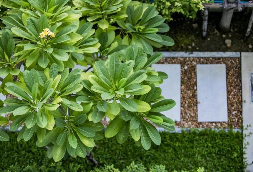 Hotel โรงแรมกอดหมอน