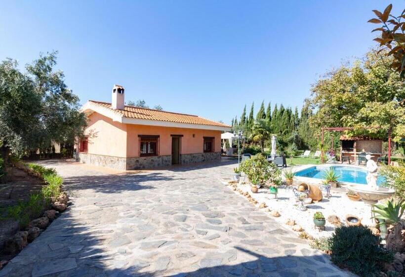 Отель Cortijo Rincón Del Sur