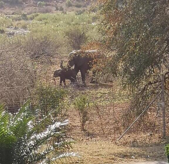 Kruger Allo View B&b