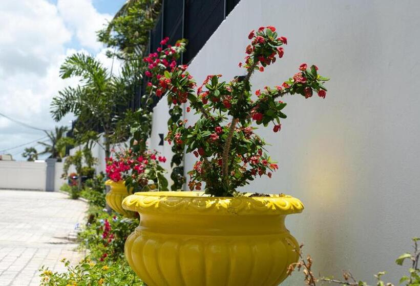 La Baie Des Bambous Sfx