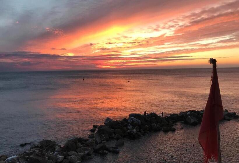 پانسیون Cast Away