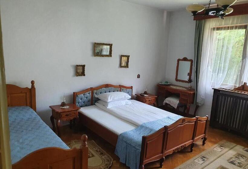 Pensiunea Aurora Albac