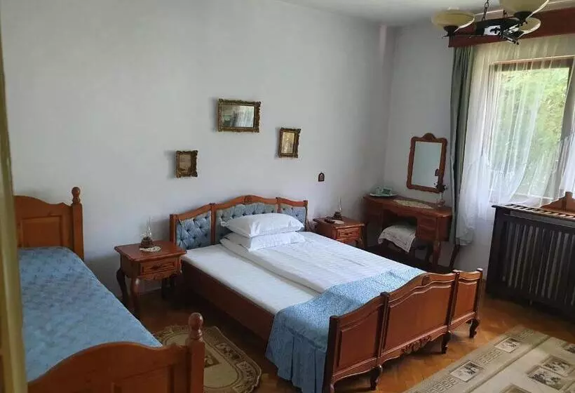 Pensiunea Aurora Albac