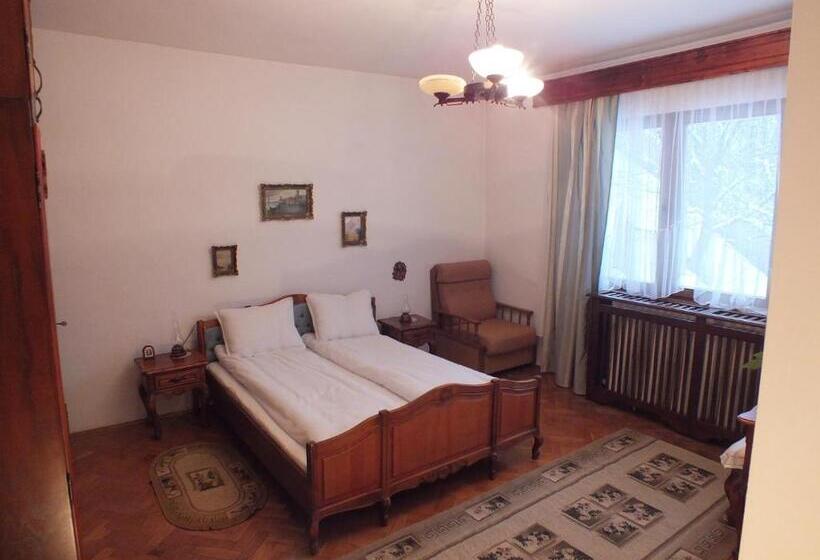 Pensiunea Aurora Albac