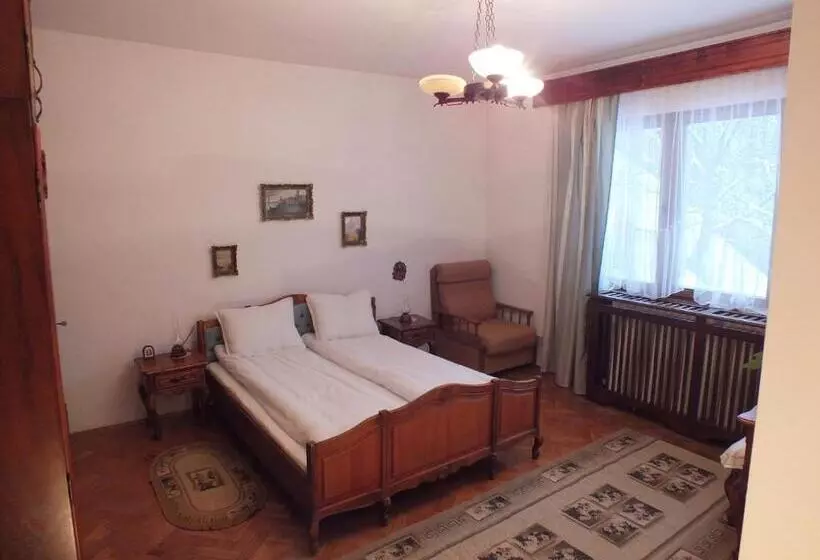 Pensiunea Aurora Albac