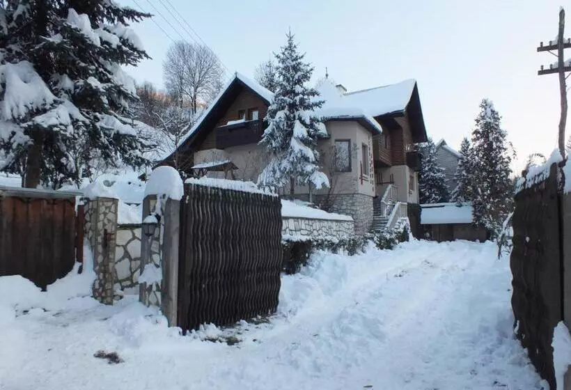 Pensiunea Aurora Albac