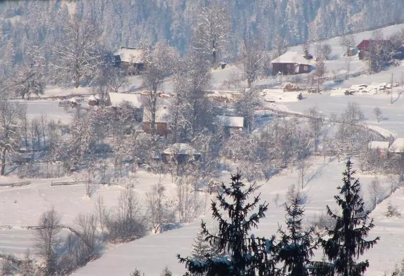 Pensiunea Aurora Albac