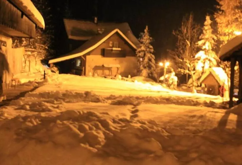 Pensiunea Aurora Albac