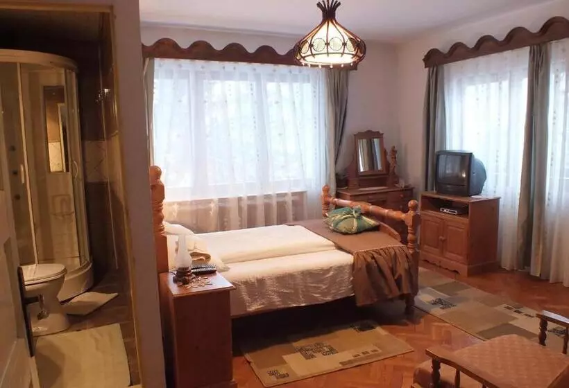 Pensiunea Aurora Albac