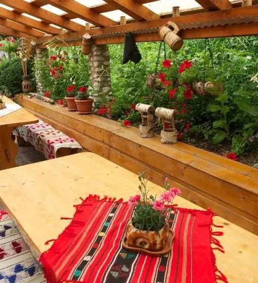 Pensiunea Aurora Albac