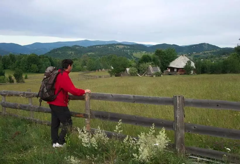 Pensiunea Aurora Albac