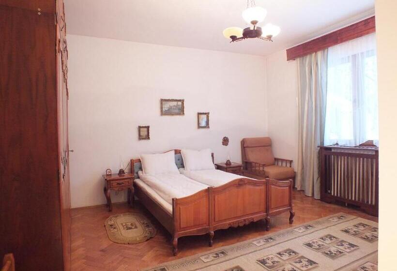 Pensiunea Aurora Albac