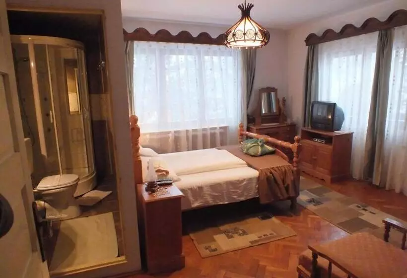 Pensiunea Aurora Albac