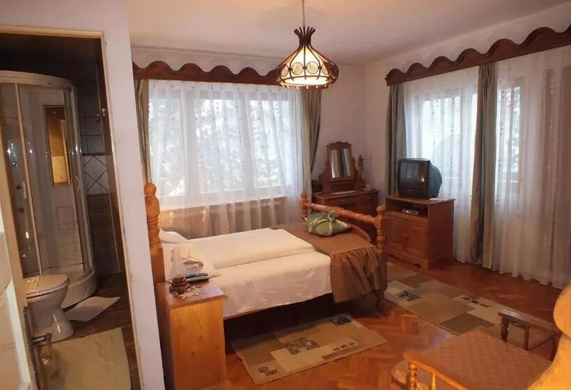 Pensiunea Aurora Albac