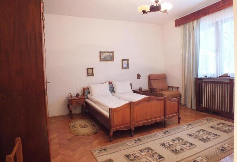 Pensiunea Aurora Albac