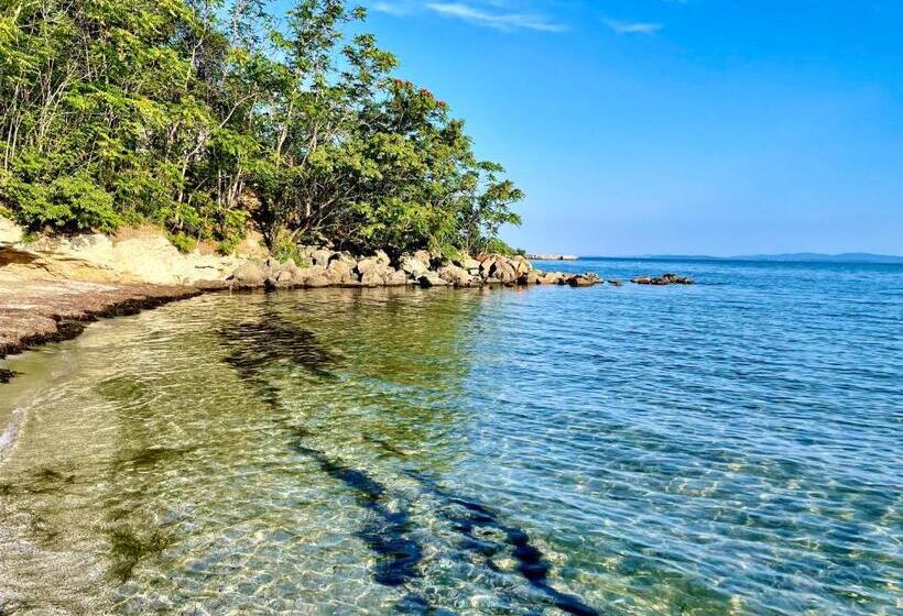 Penthouse Panorama Sea View Apt. Pomorie