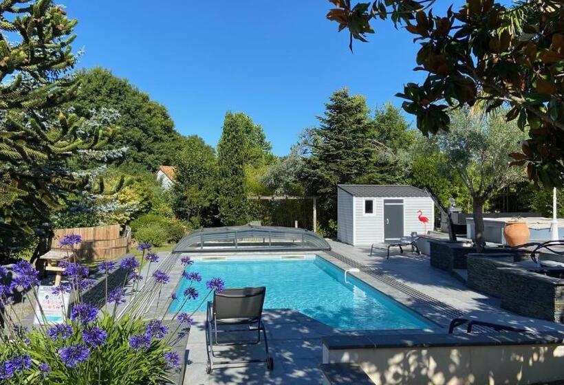 Adorable Guest House Avec Balnéo Et Piscine