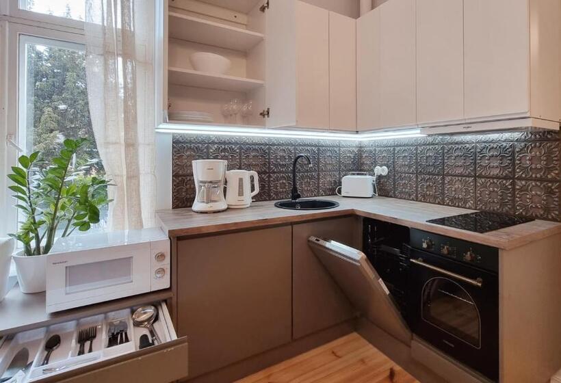 Aia Center Apartment With Sauna