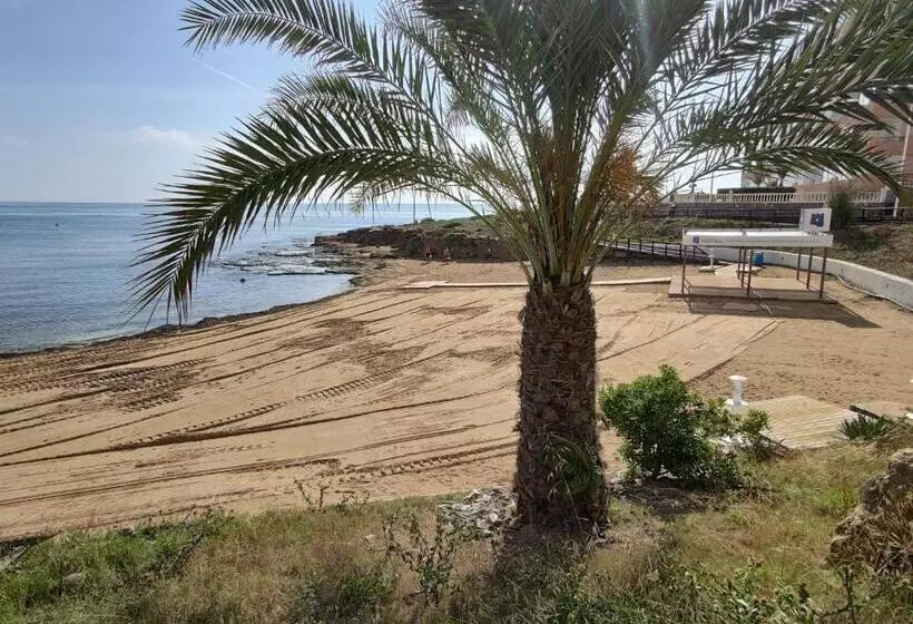 Fantastic Seaview