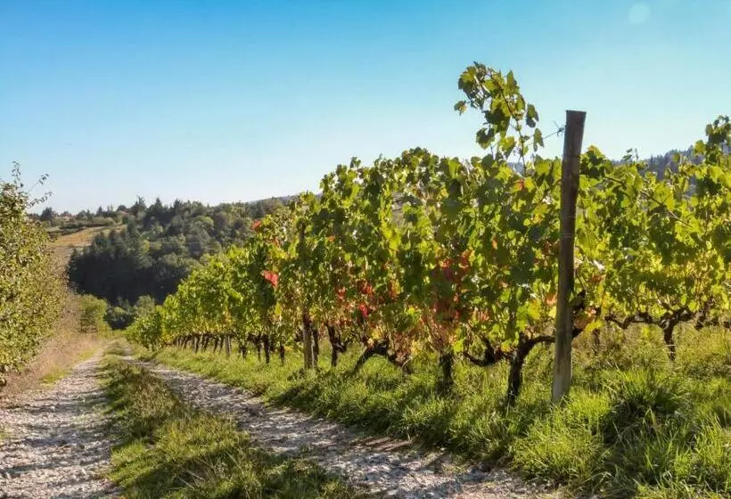 Gîtes Les Pittoresques