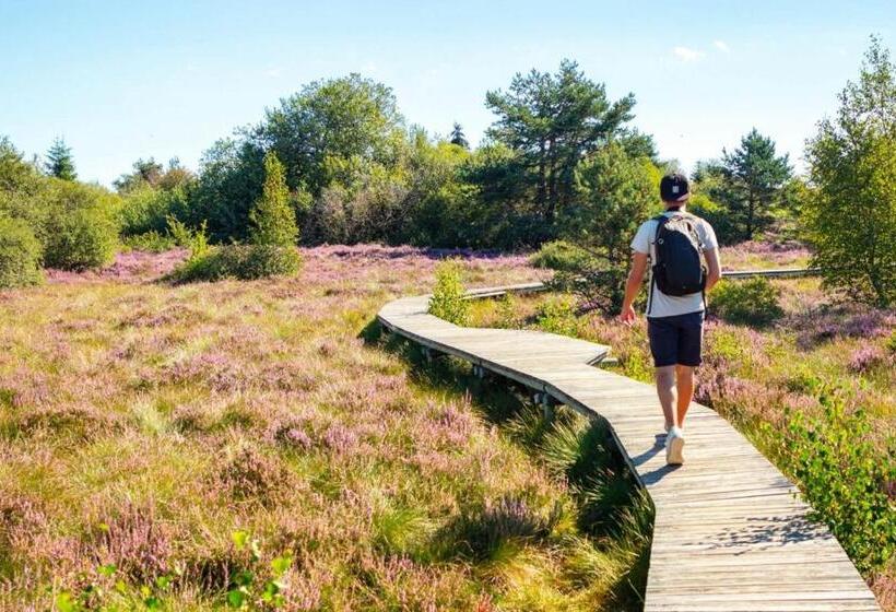 Gîtes Les Pittoresques