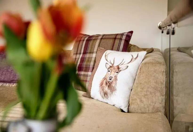 Mourne Magic House Riverside Luxury In Newcastle