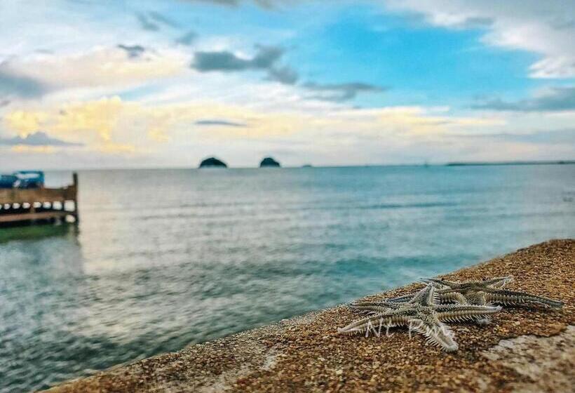 酒店 ฟ้าทะลายโจรรีสอร์ท