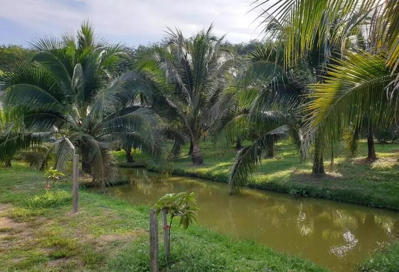 Hotelli Baan Suan Coconut Ko Yao Noi