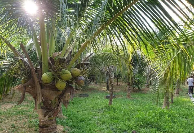 Hotelli Baan Suan Coconut Ko Yao Noi