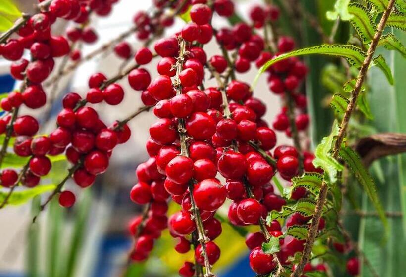 호텔 Pousada Costa Verde